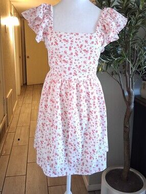 Francesca's Miami Floral Ditsy Dress Ruffle Sleeve Pink SzS Summer Coquette